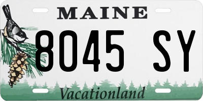 ME license plate 8045SY