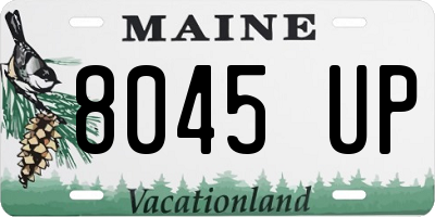 ME license plate 8045UP