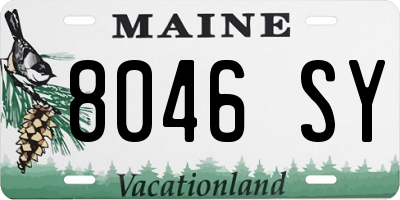 ME license plate 8046SY