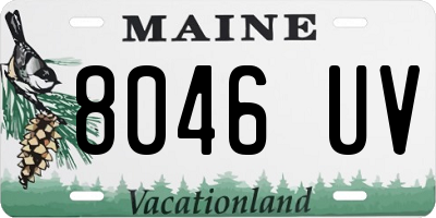 ME license plate 8046UV