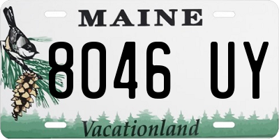 ME license plate 8046UY