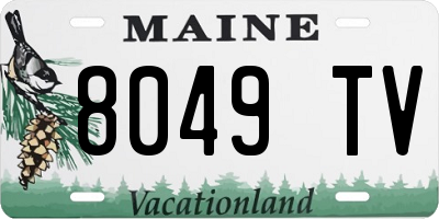 ME license plate 8049TV
