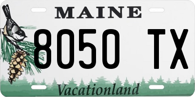 ME license plate 8050TX