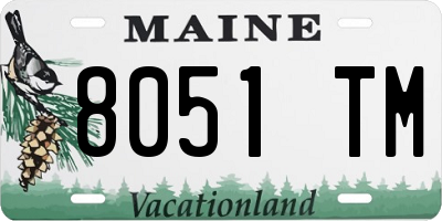 ME license plate 8051TM