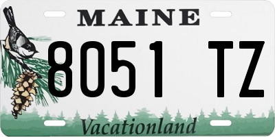 ME license plate 8051TZ