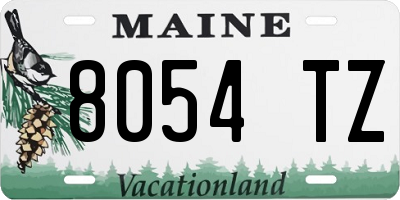 ME license plate 8054TZ