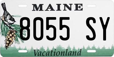 ME license plate 8055SY
