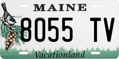ME license plate 8055TV
