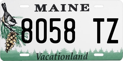 ME license plate 8058TZ