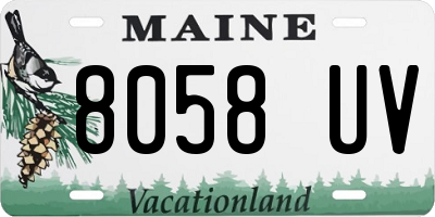 ME license plate 8058UV