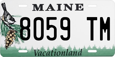 ME license plate 8059TM