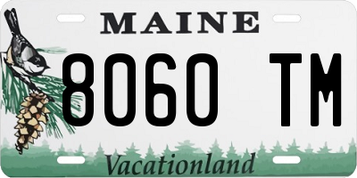 ME license plate 8060TM