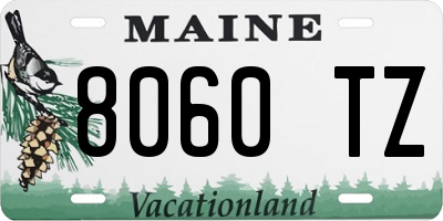 ME license plate 8060TZ