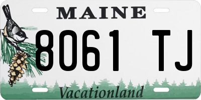 ME license plate 8061TJ