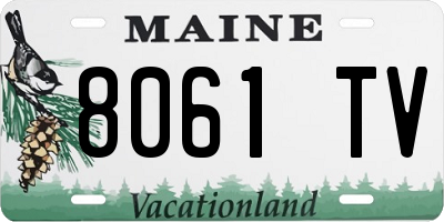 ME license plate 8061TV