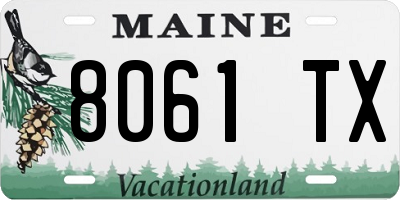 ME license plate 8061TX