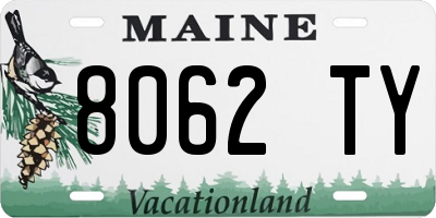 ME license plate 8062TY