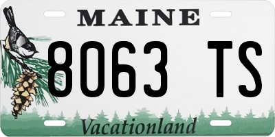 ME license plate 8063TS