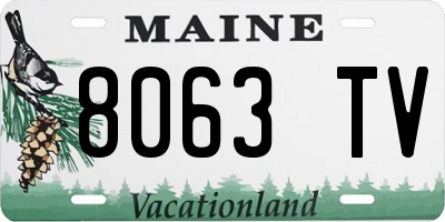 ME license plate 8063TV