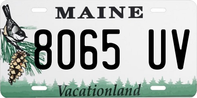 ME license plate 8065UV