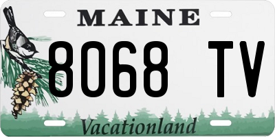 ME license plate 8068TV