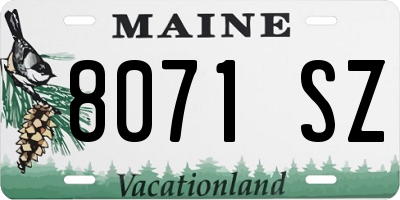 ME license plate 8071SZ