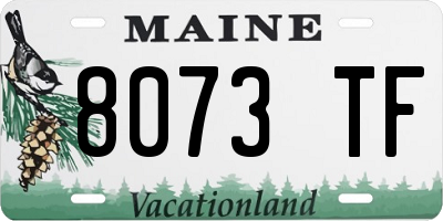 ME license plate 8073TF