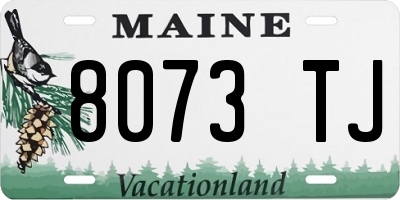 ME license plate 8073TJ