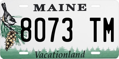 ME license plate 8073TM