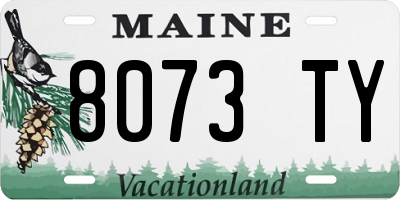 ME license plate 8073TY