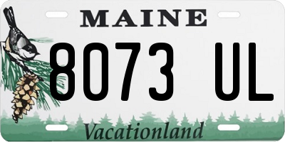 ME license plate 8073UL