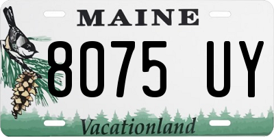 ME license plate 8075UY
