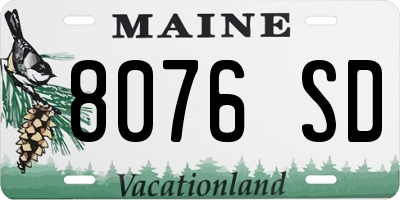 ME license plate 8076SD
