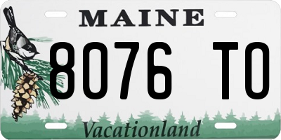 ME license plate 8076TO