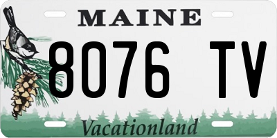 ME license plate 8076TV