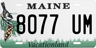 ME license plate 8077UM
