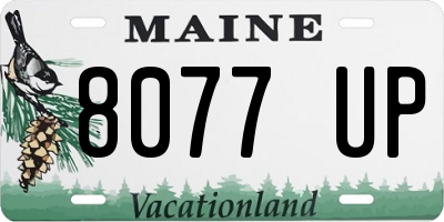ME license plate 8077UP