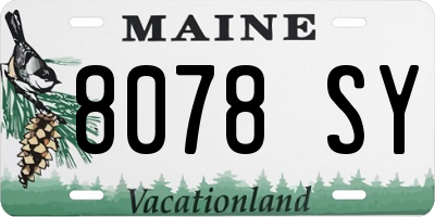 ME license plate 8078SY