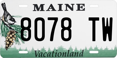 ME license plate 8078TW