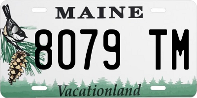ME license plate 8079TM