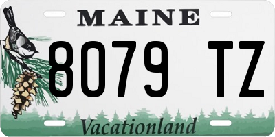 ME license plate 8079TZ