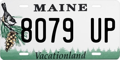ME license plate 8079UP