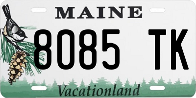 ME license plate 8085TK