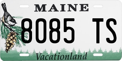 ME license plate 8085TS