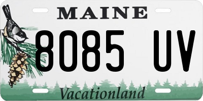 ME license plate 8085UV