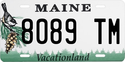 ME license plate 8089TM