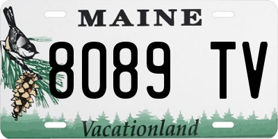 ME license plate 8089TV