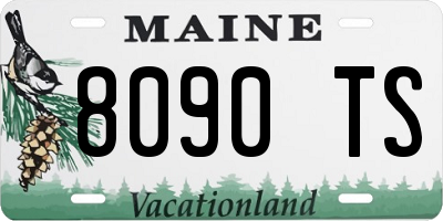 ME license plate 8090TS