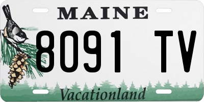 ME license plate 8091TV