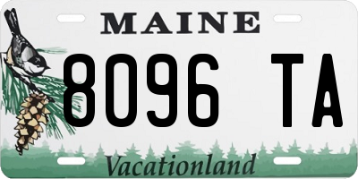 ME license plate 8096TA